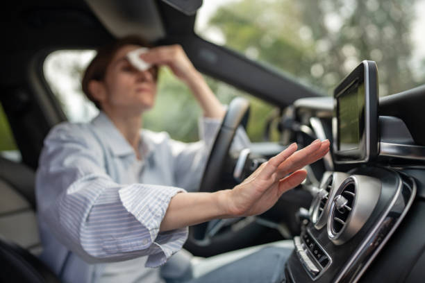 Affordable Air Conditioning Repair in Fruitport, MI